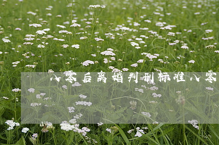 八零后离婚判刑标准(八零后离婚率)