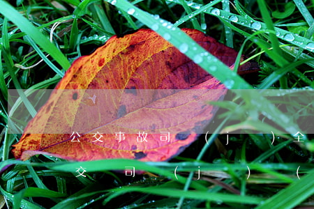 公交事故司機(jī)全責(zé)賠償(公交車司機(jī)發(fā)生交通事故,承擔(dān)責(zé)任)