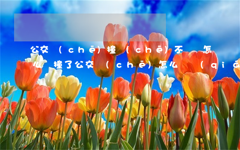 公交車(chē)撞車(chē)不賠償怎么辦(撞了公交車(chē)怎么賠錢(qián))