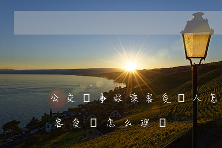 公交車事故乘客受傷人怎么賠償(公交車上乘客受傷怎么理賠)