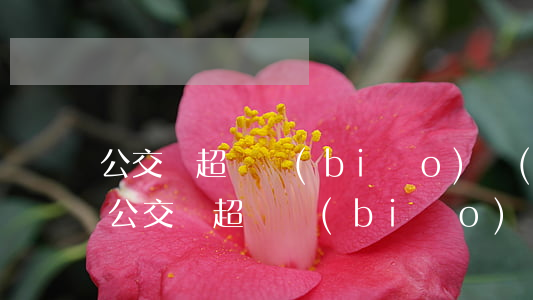 公交車超載標(biāo)準(zhǔn)(公交車超載標(biāo)準(zhǔn))