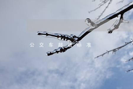 公交车超载标准
