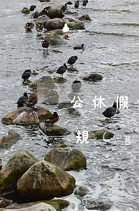 公休假最新規(guī)定(職工公休假最新規(guī)定)