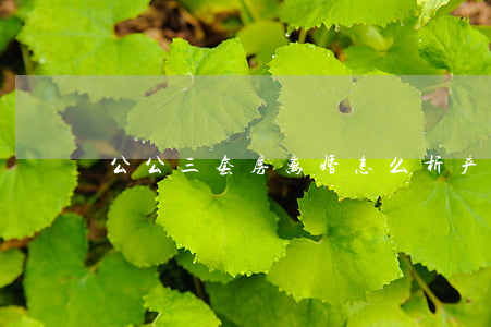 公公三套房离婚怎么析产(离婚房产析产)