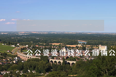 公公婆婆借錢怎么辦（倆公婆借錢可起訴嗎）