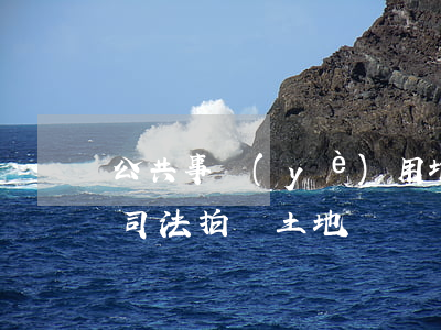 公共事業(yè)用地法院可以拍賣嗎(法院司法拍賣土地)