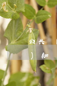 公共場(chǎng)所法律法規(guī)知識(shí)材料(關(guān)于公共場(chǎng)所安全出口的法律法規(guī))