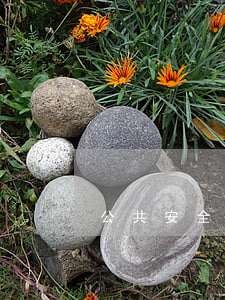 公共安全管理(公共安全管理的智與情 申論)