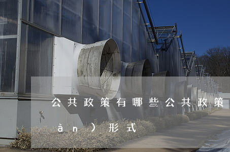 公共政策有哪些(公共政策有哪些表現(xiàn)形式)
