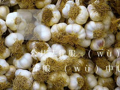 公共法律服務(wù)中心是干嘛的(公共法律服務(wù)中心是免費(fèi)咨詢的嗎)