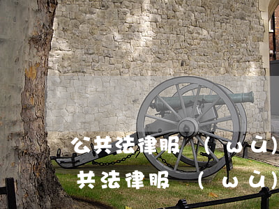 公共法律服務(wù)中心職責(zé)(公共法律服務(wù)管理處)