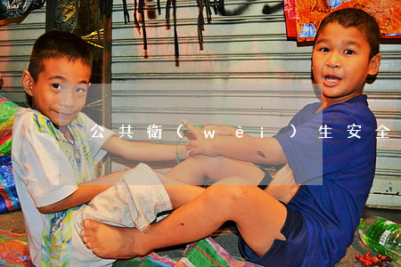 公共衛(wèi)生安全