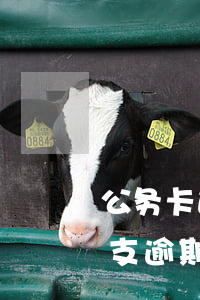 公务卡透支逾期归还影响征信吗-公务卡透支逾期归还影响征信吗