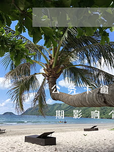 公务卡逾期影响个人征信怎么办-公务卡逾期影响个人征信怎么办呢