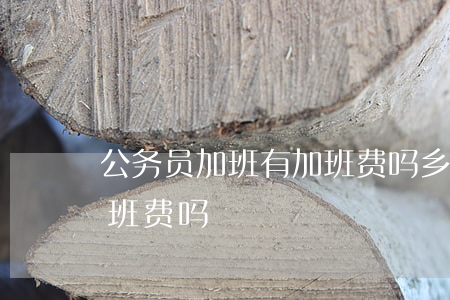 公务员加班有加班费吗(乡镇公务员加班有加班费吗)