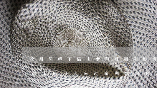 公务员政审信用卡有过逾期影响吗-公务员政审信用卡有过逾期影响吗知乎