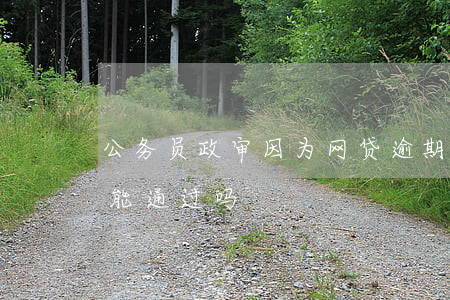 公务员政审因为网贷逾期(欠网贷公务员政审能通过吗?)