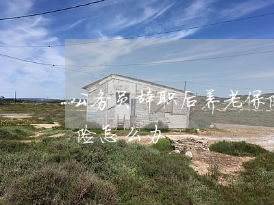 公务员辞职后养老保险，公务员辞职后养老保险怎么办
