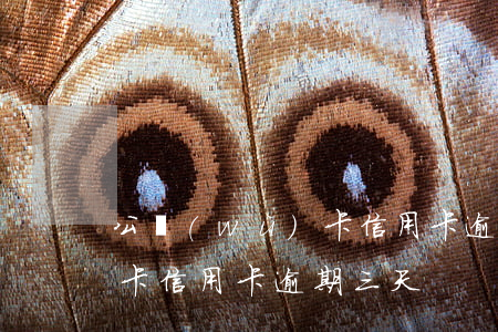公務(wù)卡信用卡逾期-公務(wù)卡信用卡逾期三天