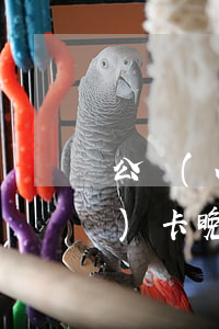 公務(wù)卡逾期一天未還款(公務(wù)卡晚還一天算逾期嗎)