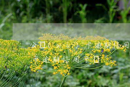公務(wù)卡逾期信用卡嗎(公務(wù)卡逾期信用卡嗎)