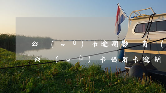 公務(wù)卡逾期影響商業(yè)貸款(公務(wù)卡信用卡逾期有什么影響)