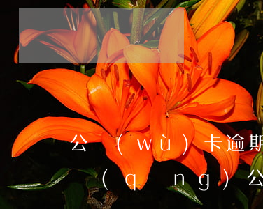 公務(wù)卡逾期提起訴訟(有逾期可以申請(qǐng)公務(wù)卡嗎)