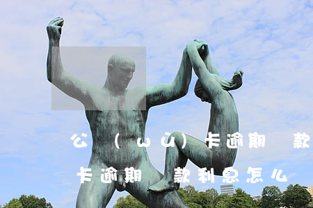 公務(wù)卡逾期還款利息(公務(wù)卡逾期還款利息怎么還)