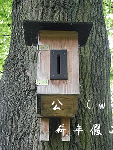 公務(wù)員休息休假規(guī)定（帶薪年假工資計(jì)算標(biāo)準(zhǔn)）