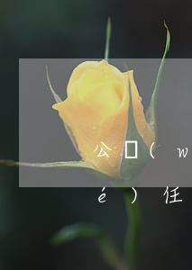 公務(wù)員個(gè)人的賠償責(zé)任是怎樣的