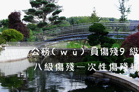 公務(wù)員傷殘9級一次性補助多少錢(八級傷殘一次性傷殘補助金是多少)