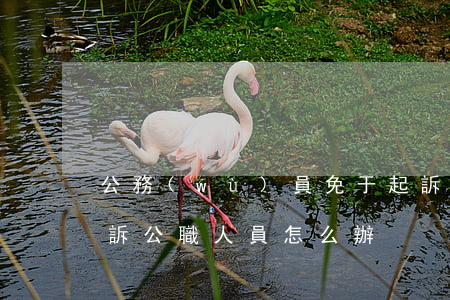 公務(wù)員免于起訴后如何處理(免予起訴公職人員怎么辦)