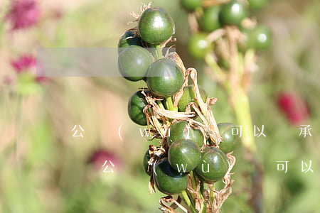 公務(wù)員可以繼承股權(quán)嗎(公務(wù)員可以繼承股份嗎)