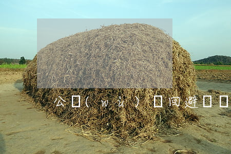 公務(wù)員回避親屬是換崗位嗎