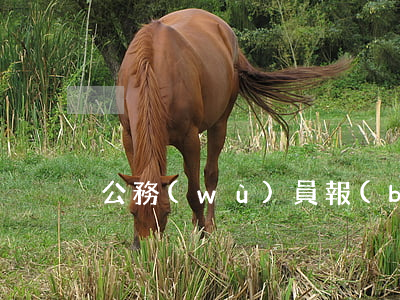 公務(wù)員報(bào)名流程