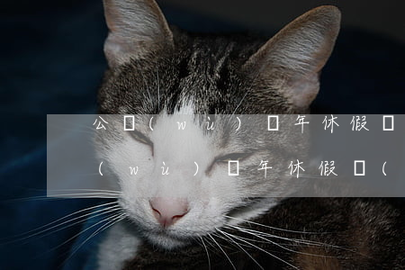 公務(wù)員年休假規(guī)定(公務(wù)員年休假規(guī)定2019最新)