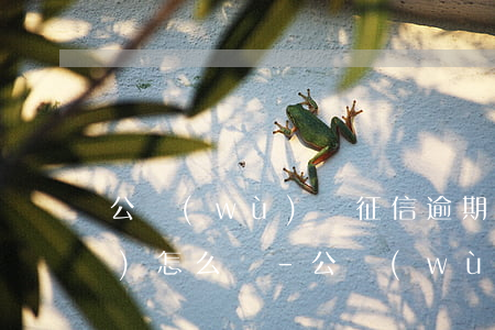 公務(wù)員征信逾期90天會(huì)怎么樣-公務(wù)員征信逾期90天會(huì)怎么樣嗎