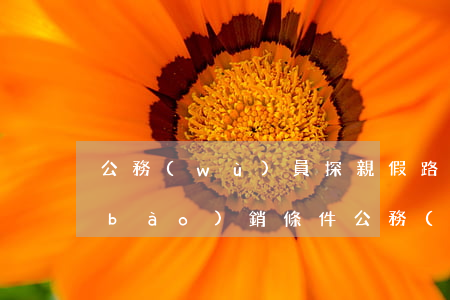 公務(wù)員探親假路費(fèi)報(bào)銷條件（公務(wù)員探親假路費(fèi)報(bào)銷）