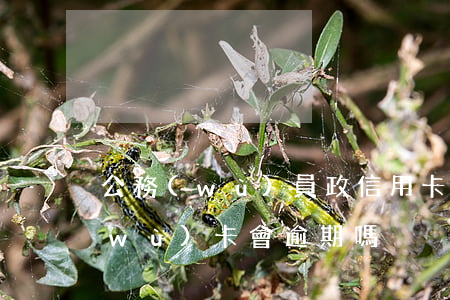 公務(wù)員政信用卡有一次逾期(公務(wù)卡會逾期嗎)