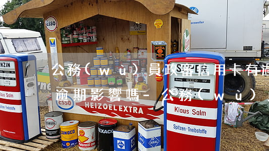 公務(wù)員政審信用卡有過(guò)逾期影響嗎-公務(wù)員政審信用卡有過(guò)逾期影響嗎知乎