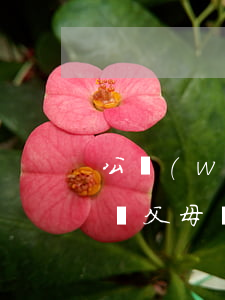 公務(wù)員政審要提供母親的離婚證(政審父母離婚)