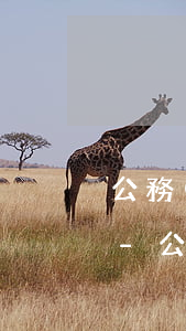 公務(wù)員有信用卡逾期納入誠信檔案-公務(wù)員有信用卡逾期納入誠信檔案嗎