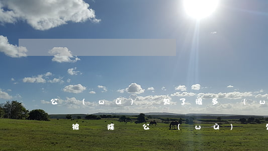 公務(wù)員欠了很多網(wǎng)貸會被開除嗎(公務(wù)員欠網(wǎng)貸的后果)