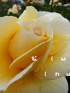 公務(wù)員欠網(wǎng)貸失信后會(huì)被坐牢嗎(欠網(wǎng)貸會(huì)影響公務(wù)員政審么)