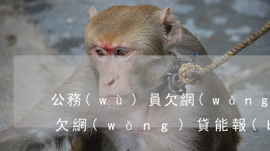 公務(wù)員欠網(wǎng)貸的后果(欠網(wǎng)貸能報(bào)考公務(wù)員嗎)