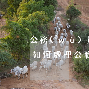 公務(wù)員犯刑事案件應(yīng)如何處理(公職人員刑事犯罪)