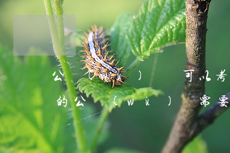 公務(wù)員還可以考司法考試嗎(司法局的公務(wù)員需要考司法證嗎)