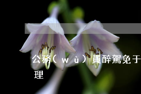 公務(wù)員醉駕免于起訴后單位如何處理