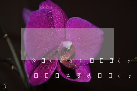 公務(wù)員隨時(shí)可以提出辭職嗎（員工可以隨時(shí)辭職的情形有哪些）