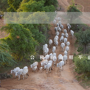公務卡逾期不還款嗎(公務卡逾期不還款嗎)